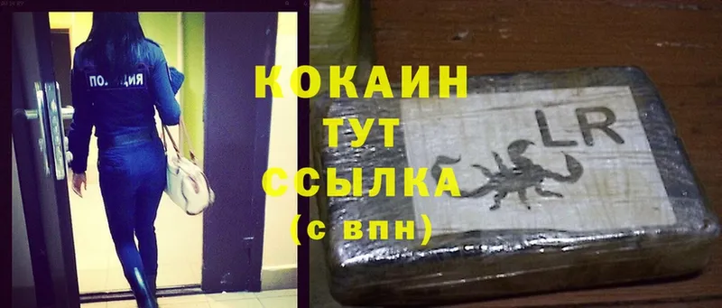 ссылка на мегу Северск Cocaine FishScale
