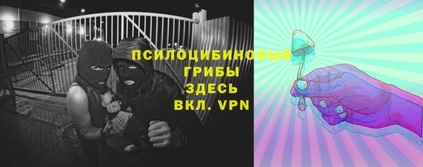 прущая мука Михайлов