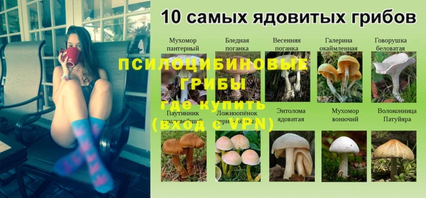 прущая мука Михайлов