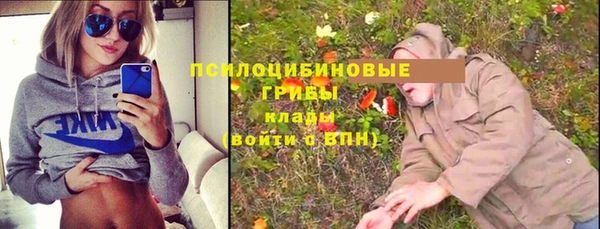 прущая мука Михайлов