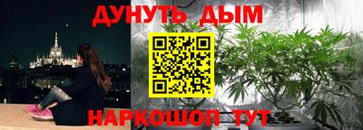 прущие грибы Конаково