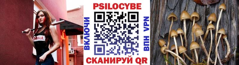 Псилоцибиновые грибы ЛСД  Северск 