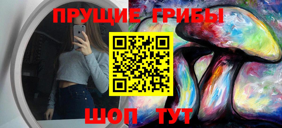 Северск  Галлюциногенные грибы MAGIC MUSHROOMS  Псилоцибиновые грибы Psilocybine cubensis  Вход с VPN 
